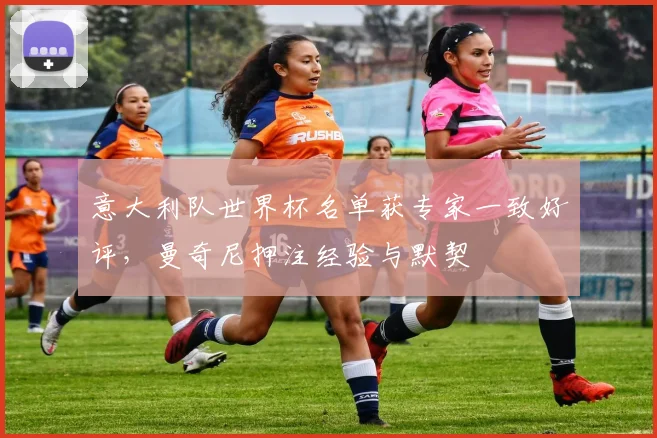 意大利队世界杯名单获专家一致好评，曼奇尼押注经验与默契 - 球探体育推荐