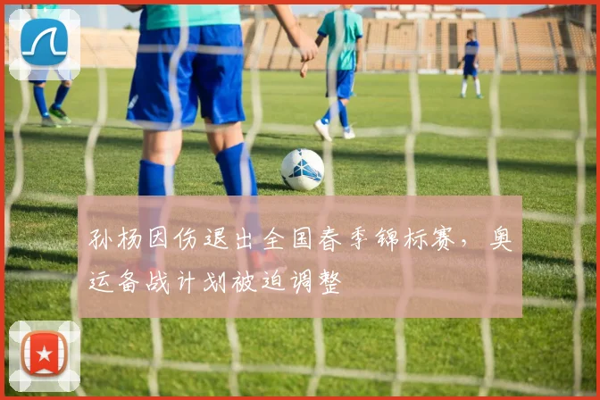 孙杨因伤退出全国春季锦标赛，奥运备战计划被迫调整 - 球探体育推荐